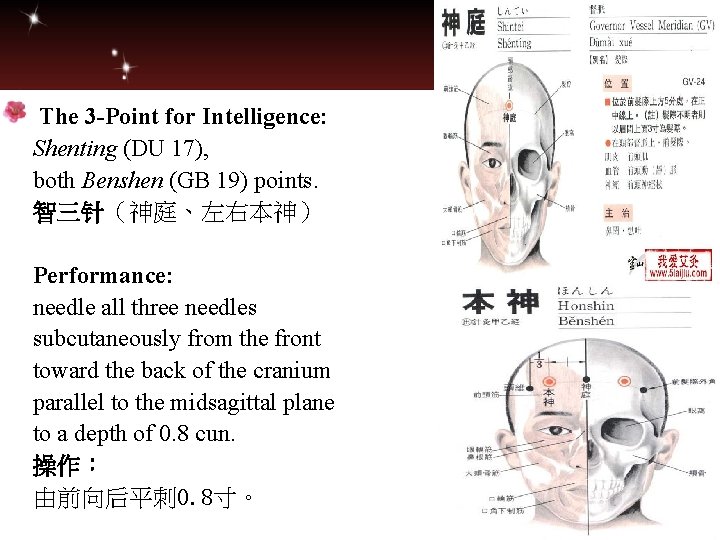  The 3 -Point for Intelligence: Shenting (DU 17), both Benshen (GB 19) points.