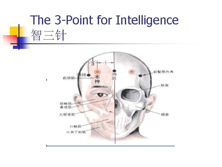 The 3 -Point for Intelligence 智三针 