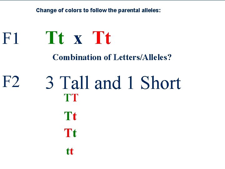 Change of colors to follow the parental alleles: F 1 Tt x Tt Combination