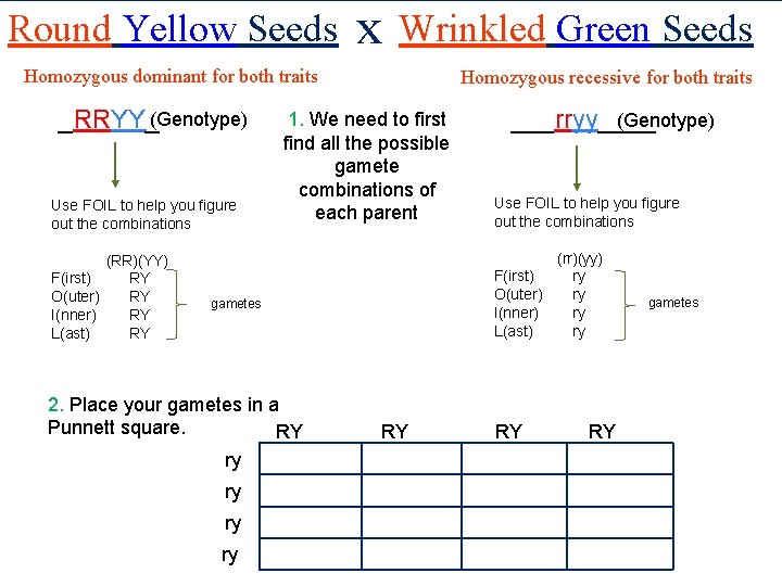 Round Yellow Seeds x Wrinkled Green Seeds Homozygous dominant for both traits _RRYY_(Genotype) Use