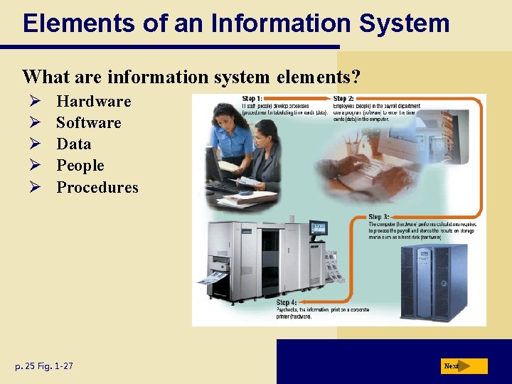 Elements of an Information System What are information system elements? Ø Ø Ø Hardware