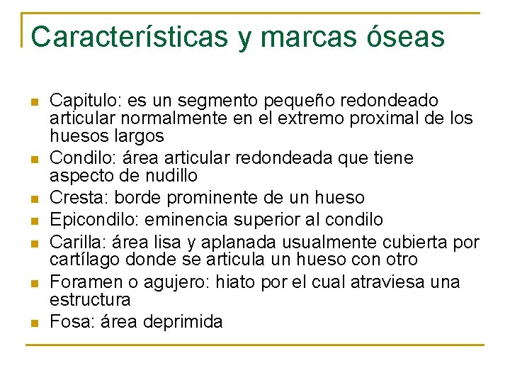 Características y marcas óseas n n n n Capitulo: es un segmento pequeño redondeado