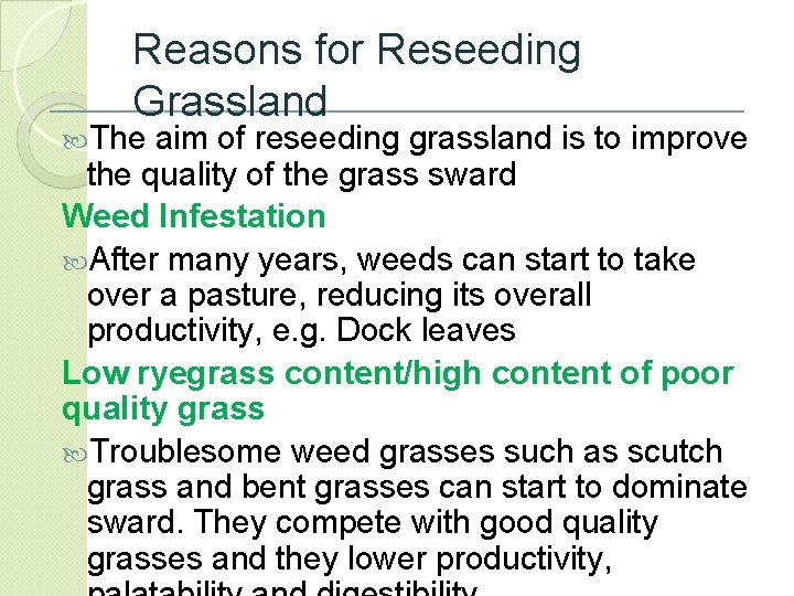 Reasons for Reseeding Grassland The aim of reseeding grassland is to improve the quality