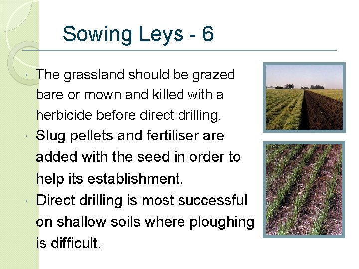 Sowing Leys - 6 The grassland should be grazed bare or mown and killed