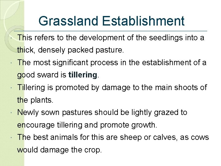 Grassland Establishment This refers to the development of the seedlings into a thick, densely