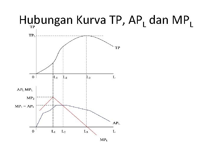 Hubungan Kurva TP, APL dan MPL Hubungan Kurva TP, APL dan MPL