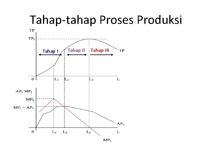 Tahap-tahap Proses Produksi Tahap III Tahap-tahap Proses Produksi Tahap III