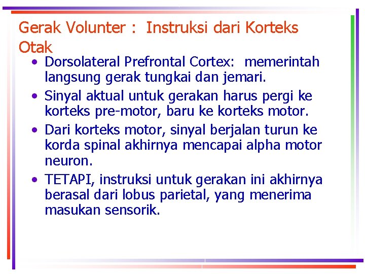 Gerak Volunter : Instruksi dari Korteks Otak • Dorsolateral Prefrontal Cortex: memerintah langsung gerak