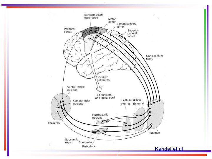 Kandel et al 