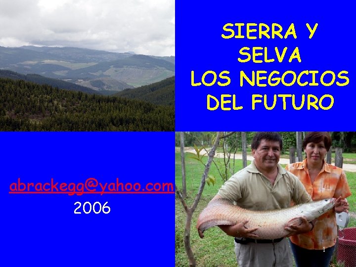 SIERRA Y SELVA LOS NEGOCIOS DEL FUTURO abrackegg@yahoo. com 2006 1 