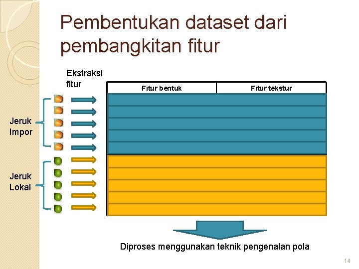 Pembentukan dataset dari pembangkitan fitur Ekstraksi fitur Fitur bentuk Fitur tekstur Jeruk Impor Jeruk