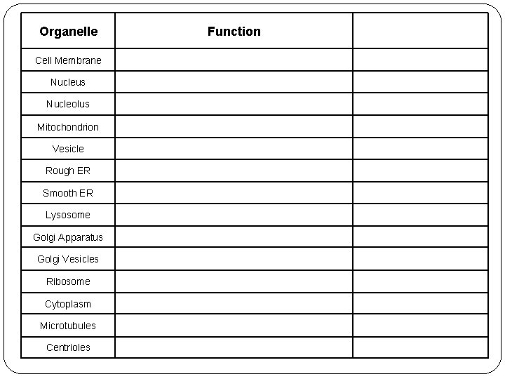 Organelle Function Cell Membrane Nucleus Nucleolus Mitochondrion Vesicle Rough ER Smooth ER Lysosome Golgi