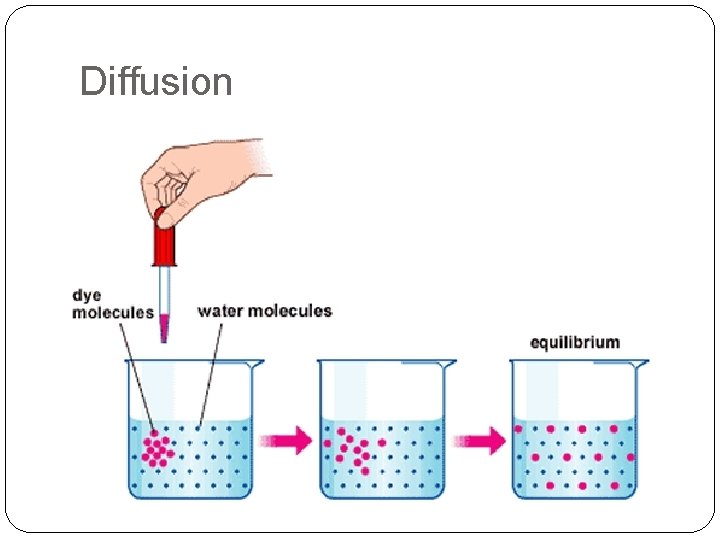 Diffusion 