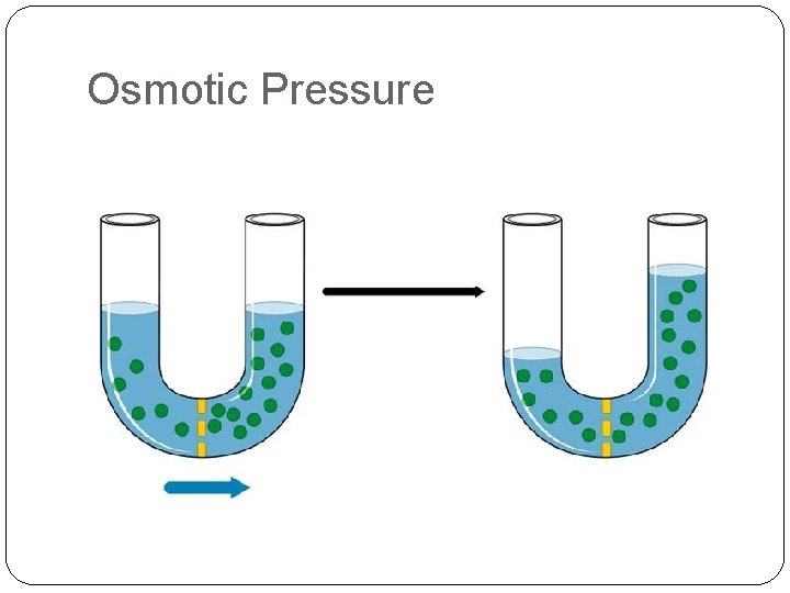 Osmotic Pressure 