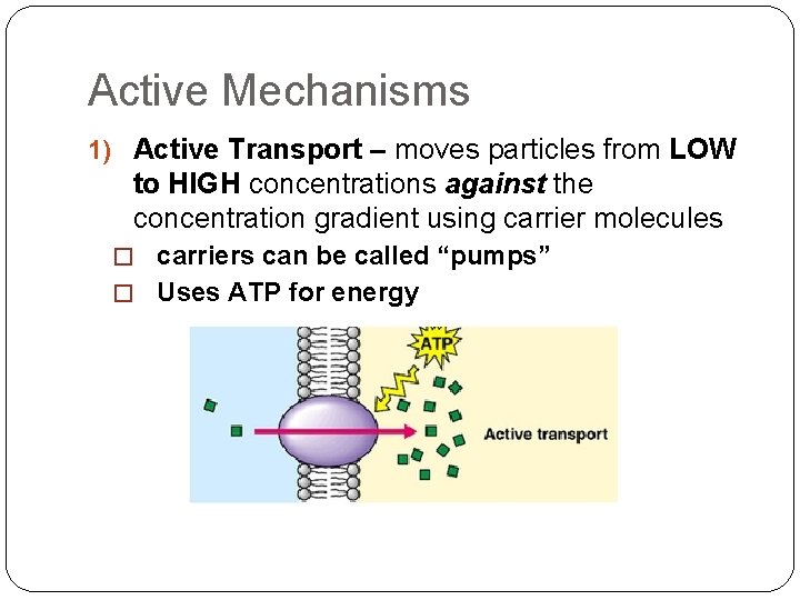 Active Mechanisms 1) Active Transport – moves particles from LOW to HIGH concentrations against