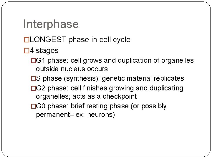 Interphase �LONGEST phase in cell cycle � 4 stages �G 1 phase: cell grows