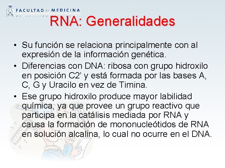 RNA: Generalidades • Su función se relaciona principalmente con al expresión de la información