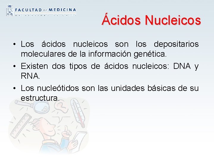 Ácidos Nucleicos • Los ácidos nucleicos son los depositarios moleculares de la información genética.