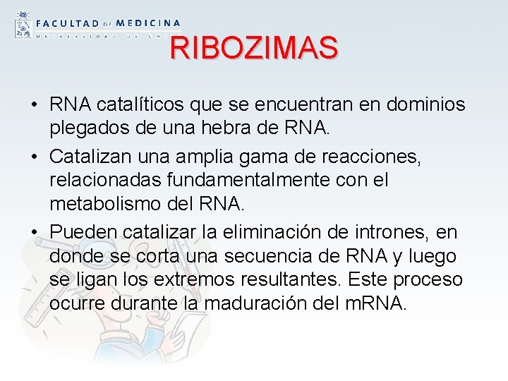 RIBOZIMAS • RNA catalíticos que se encuentran en dominios plegados de una hebra de