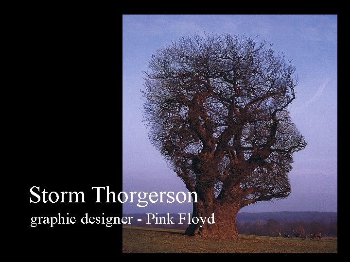 Storm Thorgerson graphic designer - Pink Floyd 