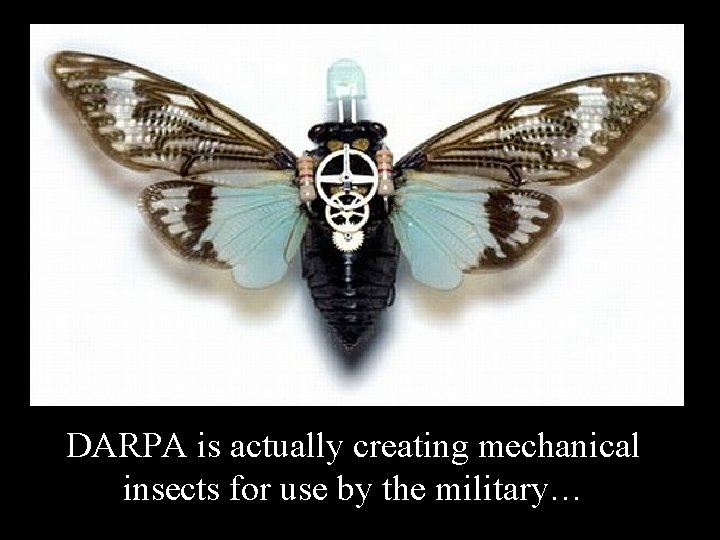 DARPA is actually creating mechanical insects for use by the military… 