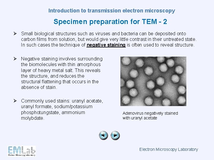 Introduction to transmission electron microscopy Specimen preparation for TEM - 2 Ø Small biological
