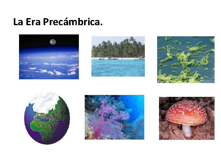 La Era Precámbrica. 