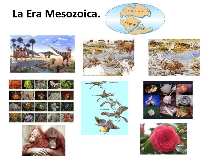 La Era Mesozoica. 