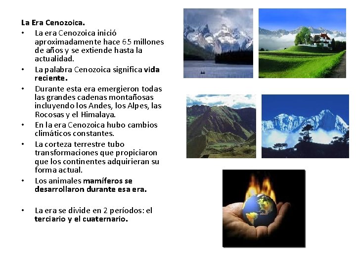 La Era Cenozoica. • La era Cenozoica inició aproximadamente hace 65 millones de años