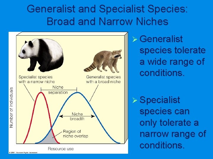 Generalist and Specialist Species: Broad and Narrow Niches Ø Generalist species tolerate a wide