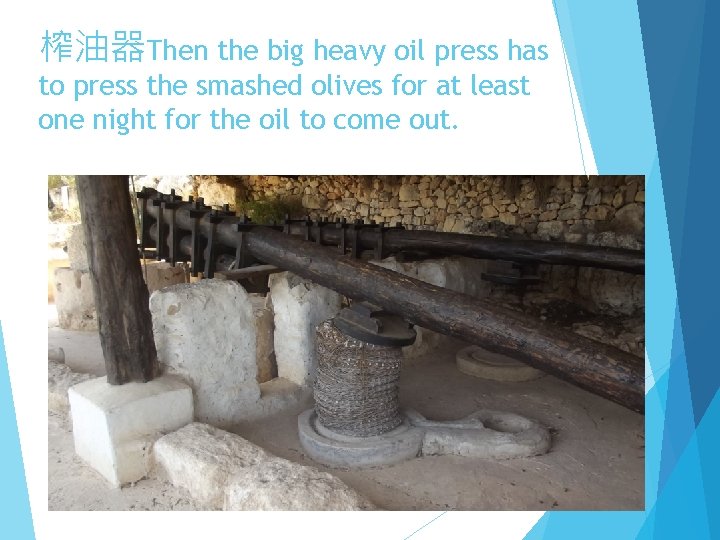 榨油器Then the big heavy oil press has to press the smashed olives for at