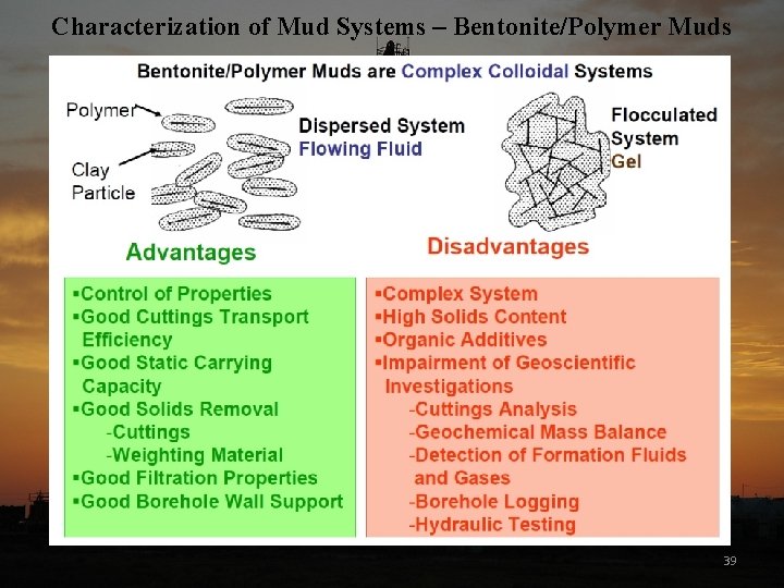 Characterization of Mud Systems – Bentonite/Polymer Muds 39 