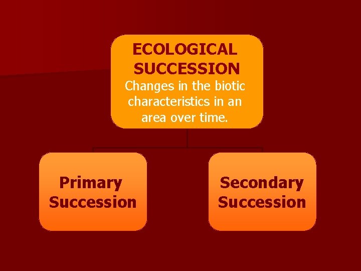ECOLOGICAL SUCCESSION Changes in the biotic characteristics in an area over time. Primary Succession