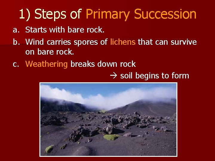 1) Steps of Primary Succession a. Starts with bare rock. b. Wind carries spores