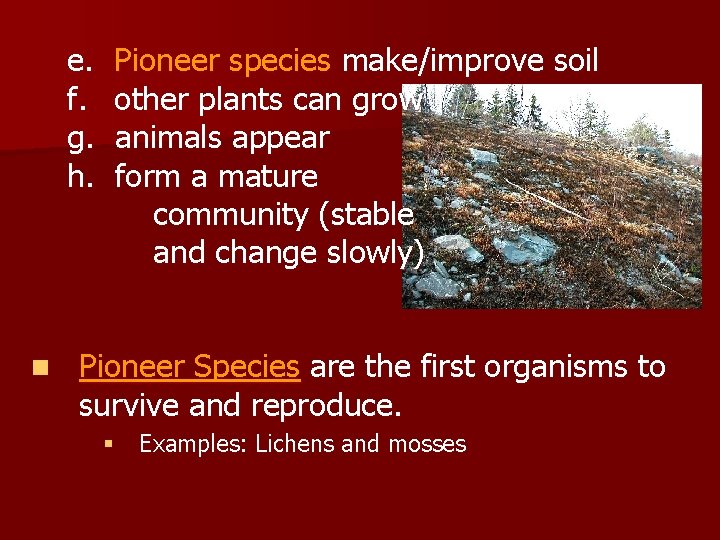 e. f. g. h. n Pioneer species make/improve soil other plants can grow animals