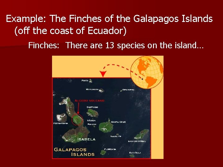 Example: The Finches of the Galapagos Islands (off the coast of Ecuador) Finches: There