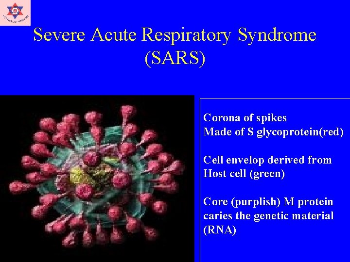 Severe Acute Respiratory Syndrome (SARS) Corona of spikes Made of S glycoprotein(red) Cell envelop