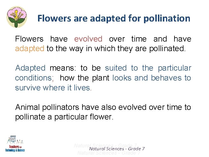 Flowers are adapted for pollination Flowers have evolved over time and have adapted to