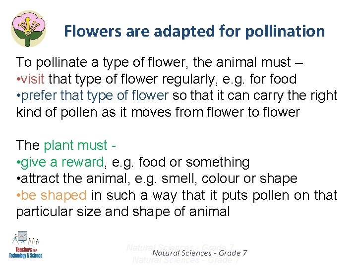Flowers are adapted for pollination To pollinate a type of flower, the animal must