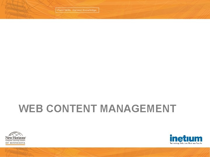 WEB CONTENT MANAGEMENT 