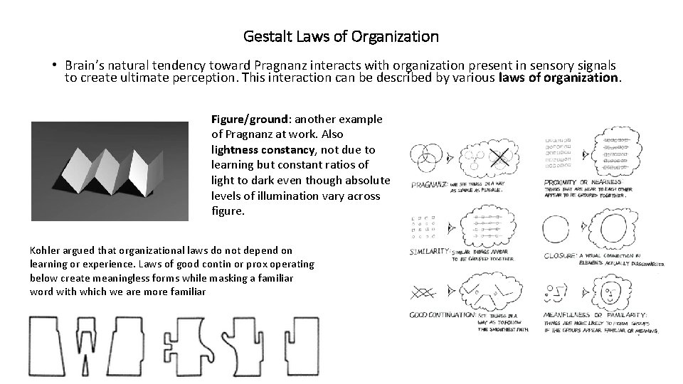 Gestalt Laws of Organization • Brain’s natural tendency toward Pragnanz interacts with organization present Gestalt Laws of Organization • Brain’s natural tendency toward Pragnanz interacts with organization present