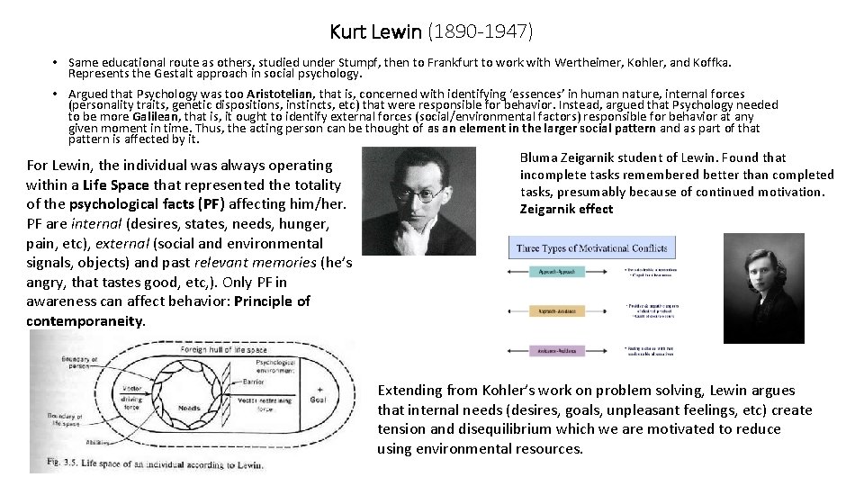 Kurt Lewin (1890 -1947) • Same educational route as others, studied under Stumpf, then Kurt Lewin (1890 -1947) • Same educational route as others, studied under Stumpf, then