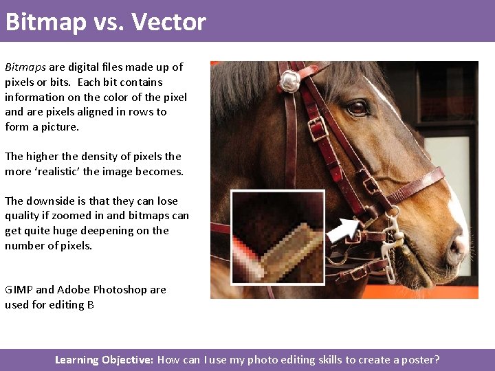 Bitmap vs. Vector Bitmaps are digital files made up of pixels or bits. Each