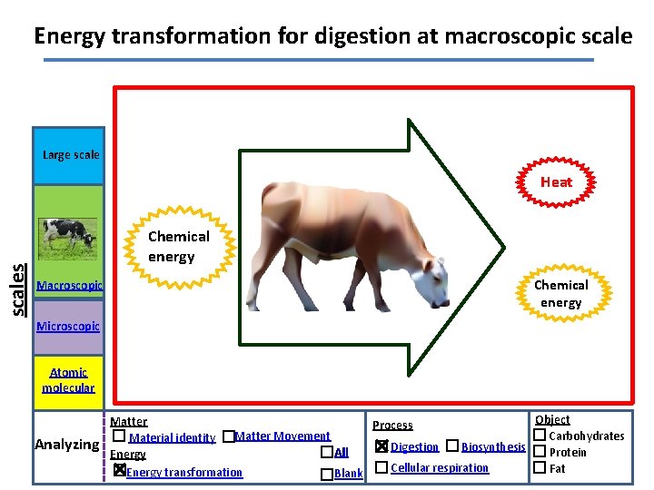 Energy transformation for digestion at macroscopic scale Large scales Heat Chemical energy Macroscopic Chemical