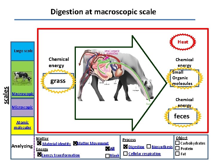 Digestion at macroscopic scale Heat Large scale Chemical energy scales grass Chemical energy Small