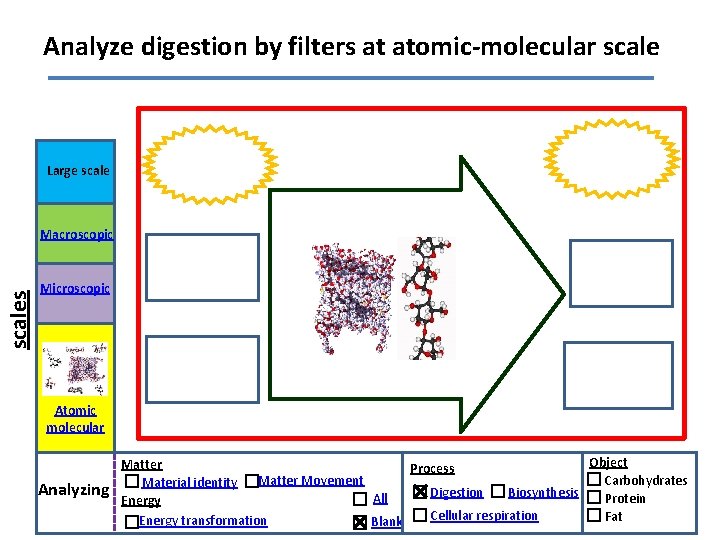 Analyze digestion by filters at atomic-molecular scale Large scales Macroscopic Microscopic Atomic molecular Analyzing