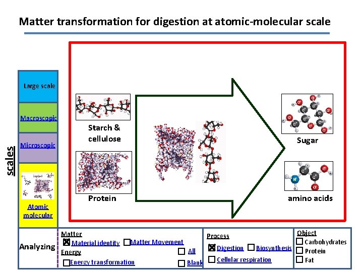 Matter transformation for digestion at atomic-molecular scale Large scales Macroscopic Microscopic Atomic molecular Analyzing