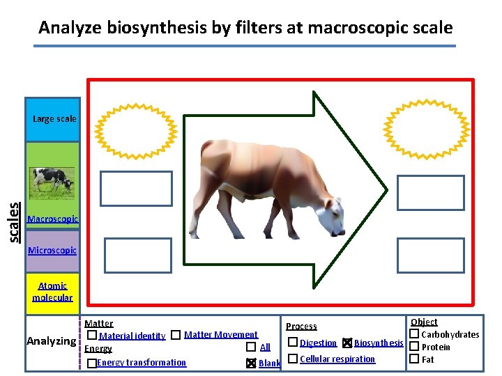 Analyze biosynthesis by filters at macroscopic scales Large scale Macroscopic Microscopic Atomic molecular Analyzing