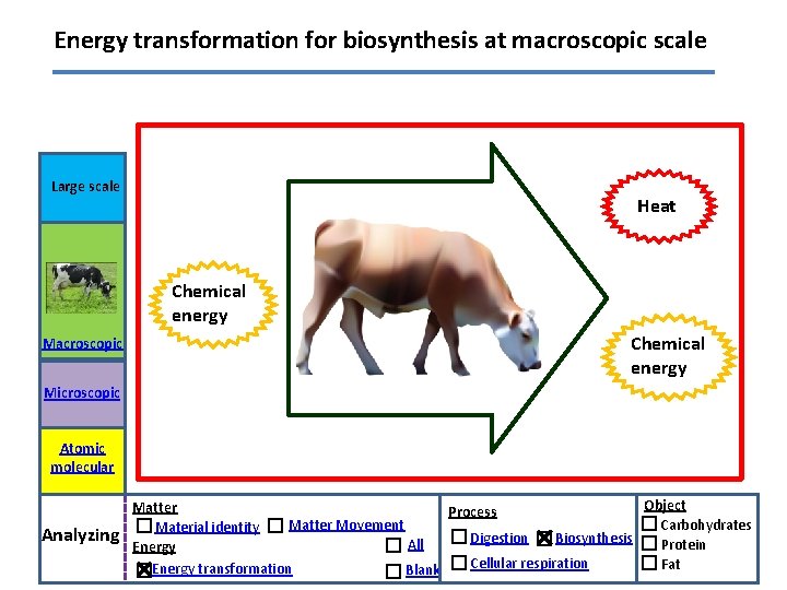 Energy transformation for biosynthesis at macroscopic scale Large scale Heat Chemical energy Macroscopic Chemical