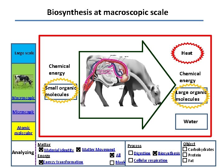 Biosynthesis at macroscopic scale Heat Large scale Chemical energy Macroscopic Small organic molecules Chemical